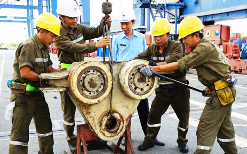 Một ngày ở Cảng Tân Cảng Hiệp Phước, Nhà Bè