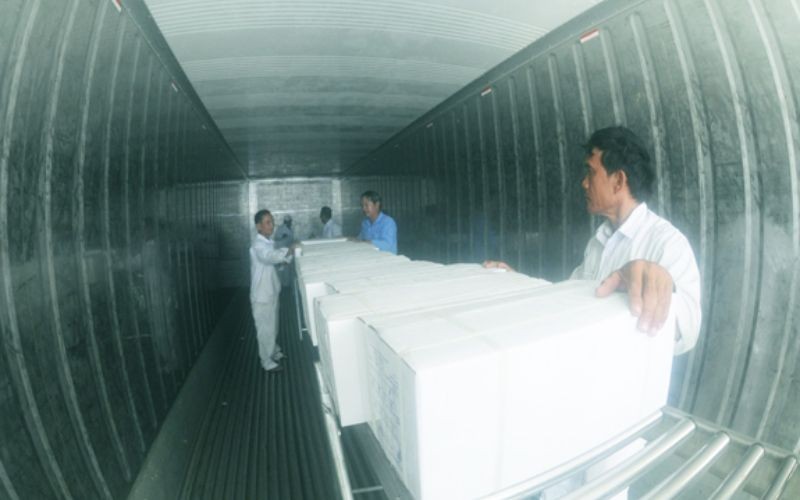 Một ngày ở Cảng Tân Cảng Hiệp Phước, Nhà Bè