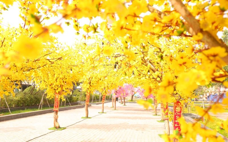 Rộn ràng Lễ hội mừng Xuân Tân Sửu Huyện Nhà Bè